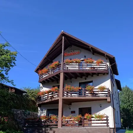 Pensiunea Beatrice 4* Vatra Dornei