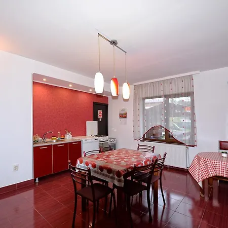 Pensiunea Beatrice 4* Vatra Dornei