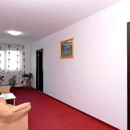 Pensiunea Beatrice 4* Vatra Dornei